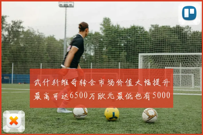 武什科维奇转会市场价值大幅提升最高可达6500万欧元最低也有5000万欧元
