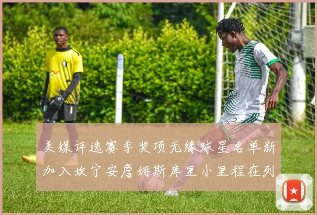 美媒评选赛季奖项无缘球星名单新加入坎宁安詹姆斯库里小里程在列