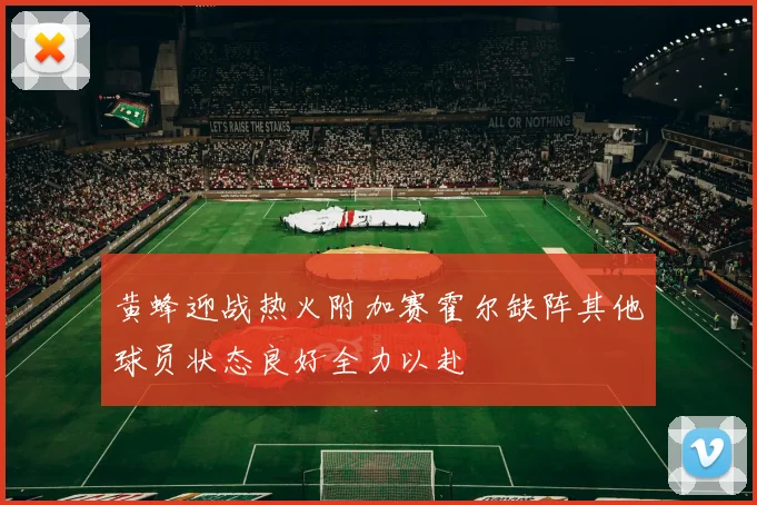 黄蜂迎战热火附加赛霍尔缺阵其他球员状态良好全力以赴